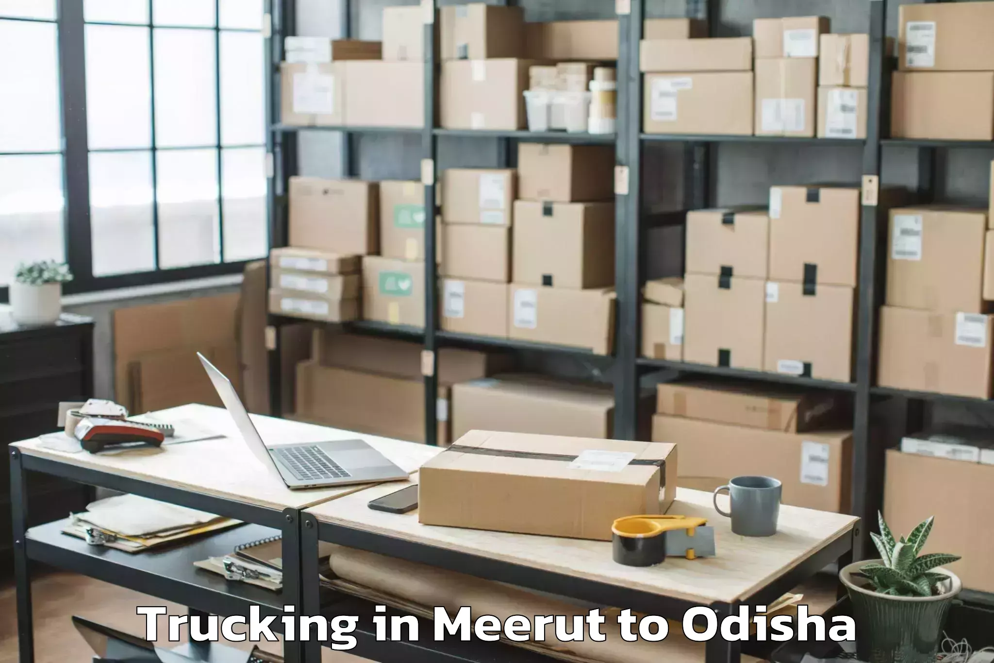 Book Meerut to Sohela Trucking Online